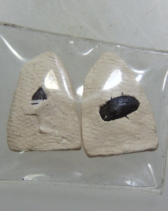๒๐ หลวงปู่ทวด เนื้อผง องค์เล็ก