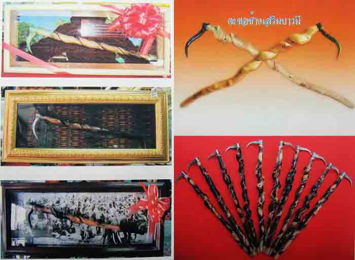 ***พิเศษอันใหญ่ๆสวยๆสำหรับเสริมบารมี***ขอสับช้างของมงคลที่มีคุณวิเศษเหลือหลาย