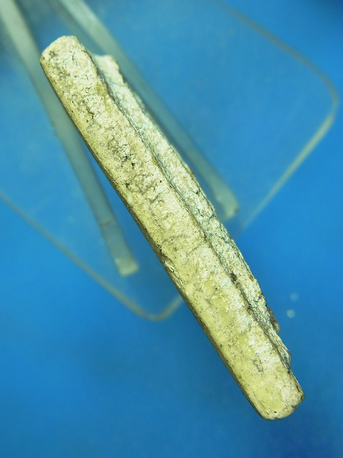 พระสมเด็จพิมพ์แหวกม่านหลวงปู่นาค วัดระฆังปี2495 