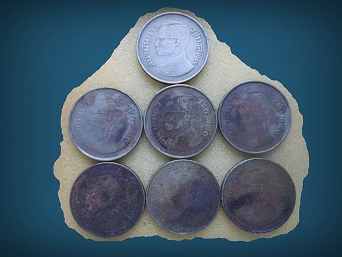 110. เคาะเดี่ยว เหรียญ ร.5 จำนวน 7 เหรียญ