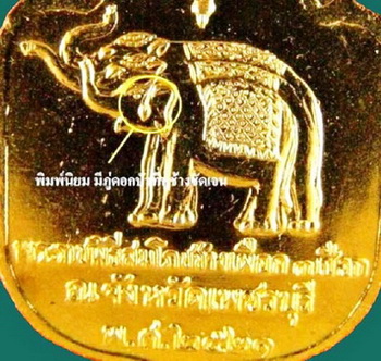เหรียญช้างเผือก จ.เพชรบุรี กะไหล่ทอง ปี2521 (บล็อกทองคำ นิยม) ช้างมีจุด นิยม หายาก
