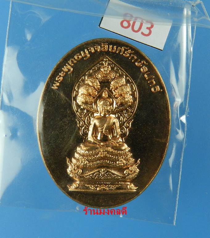 เหรียญพระพุทธมุจจลินท์ (พระนาคปรก) รุ่นมุจจลินท์มหาโภคทรัพย์ จ.อยุธยา เนื้อทองแดงขัดเงา#803