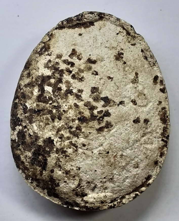 20 บาทพระปิดตาเนื้อผงไม่ทราบที่ BOX3