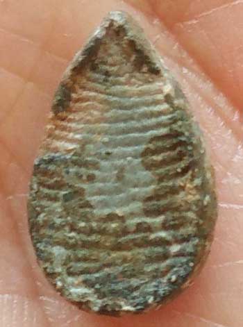 *ปิดตาจิ๋ว เนื้อดิน หลวงพ่อเงิน วัดบางคลาน พิจิตร*