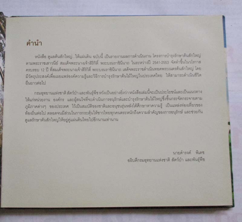 หนังสือ ดูแลต้นสักใหญ่  ให้แผ่นดิน ปกแข็ง