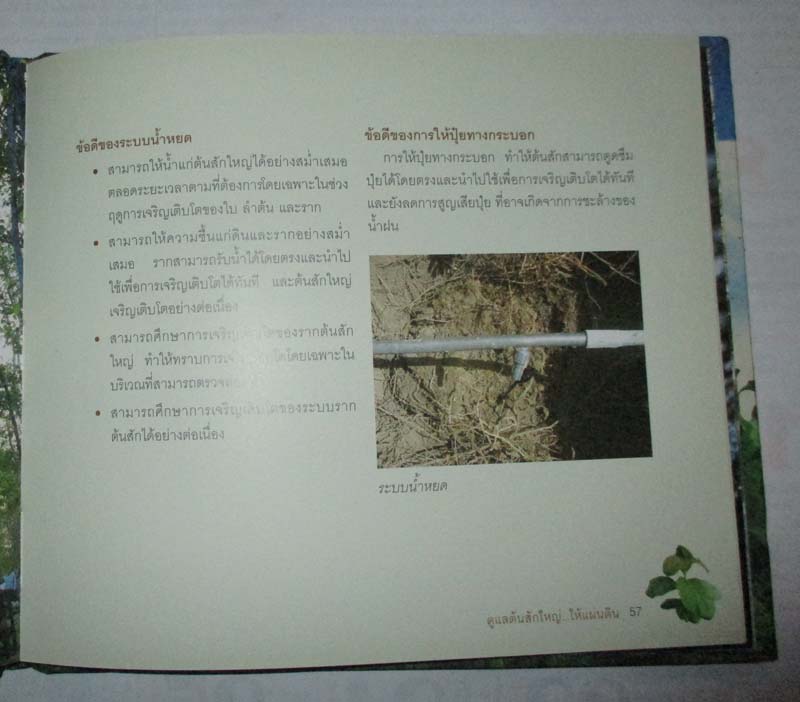 หนังสือ ดูแลต้นสักใหญ่  ให้แผ่นดิน ปกแข็ง