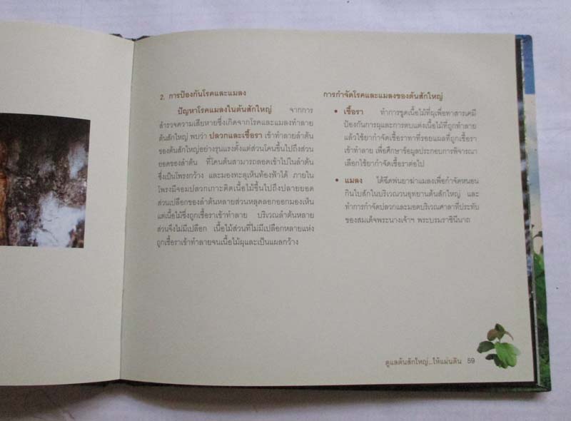 หนังสือ ดูแลต้นสักใหญ่  ให้แผ่นดิน ปกแข็ง