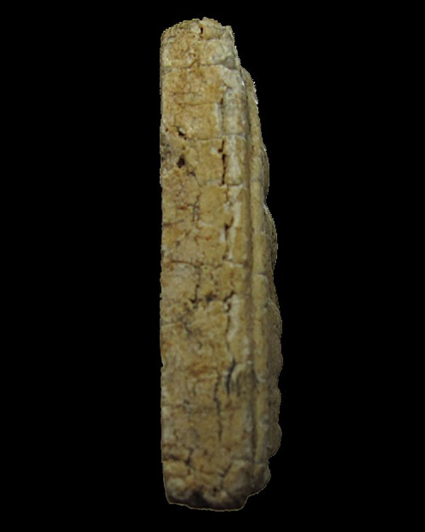 พระสมเด็จเกศไชโย รุ่นสร้างเขื่อน พิมพ์คะแนน 3 ชั้น ปี 2495 วัดไชโยวรวิหาร จ.อ่างทอง