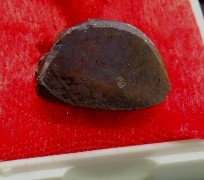 เทพประทานพร พร้อมกล่องเดิม จัดเลย