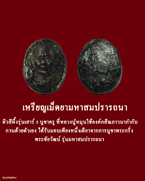เหรียญเม็ดยามหาสมปรารถนา หลวงปู่หมุน ฐิตสีโล ได้รับมอบจาการบูชาพระกริ่งพระชัยวัฒน์ รุ่นมหาสมปรารถนา