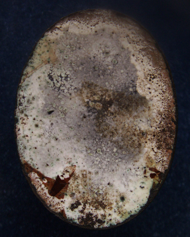 ล็อคเก็ตหลวงปู่โต๊ะ วัดประดู่ฉิมพลี หลังเปลือย สูง 3 ซ.ม.