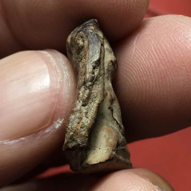 พระซุ้มกอพิพ์เล็กกรุสำนักงานการประถมศึกษาเขต1 กำแพงเพชร