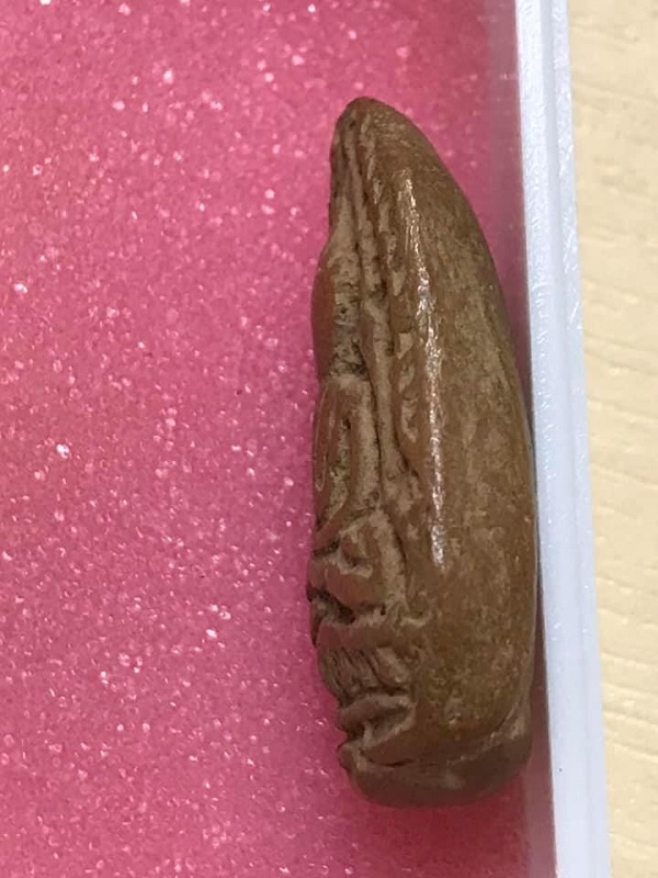 พระกรุจุฬามณี พิมพ์ซุ้มข้างขีด สภาพสวยมาก