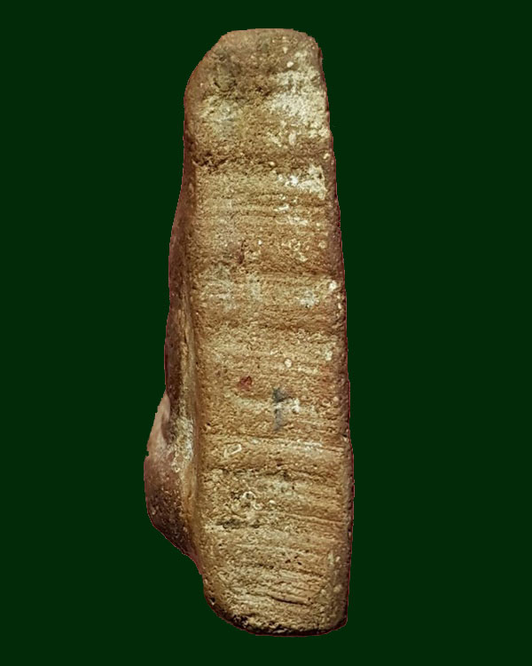 พระสมเด็จนางพญา กรุโรงทอ จ.พิษณุโลก พิมพ์ใหญ่ มีหู นิยม