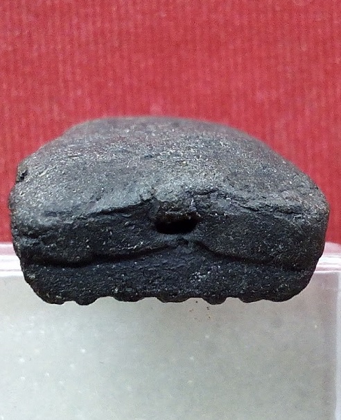 พระผงหลวงปู่ทวด วัดประสาทบุญญาวาส กรุงเทพ ปี06 เนื้อดำ พิธีใหญ่ปี06...เคาะเดียวแดง...