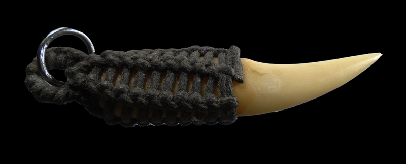 30บาท...เขี้ยว ไม่ทราบที่ ///923