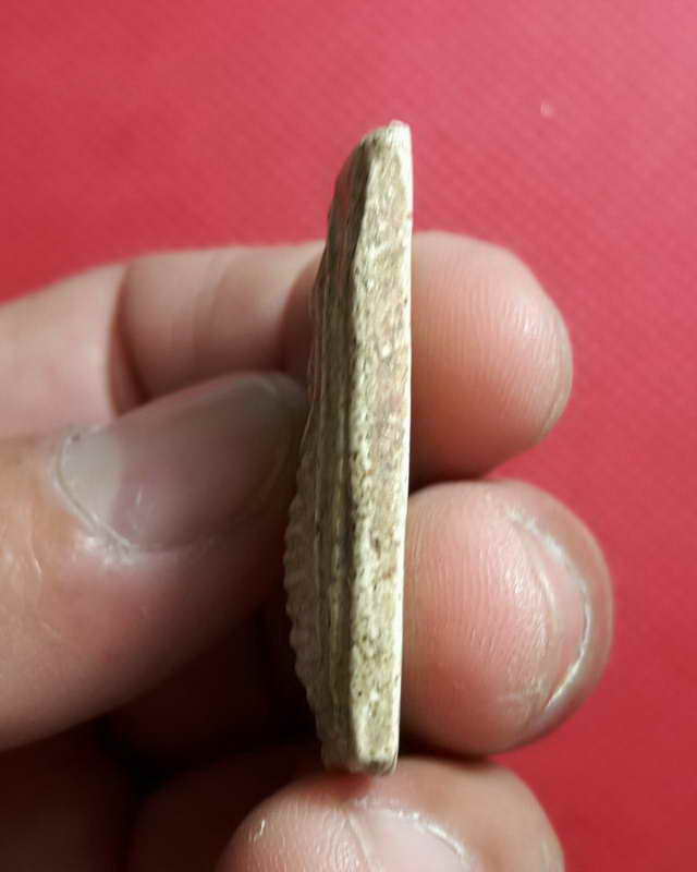 พระสมเด็จอยู่ศุข กรุวัดดักคะนน ชัยนาท พิมพ์เกศไชโย