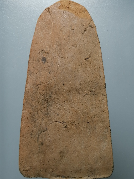 สีวลีจัมโบ้