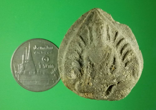 พระทรงใบโพธิ์หรือกลีบบัว วัดพระธาตุไชยา จ.สุราษฎร์ธานี เนื้อดิน