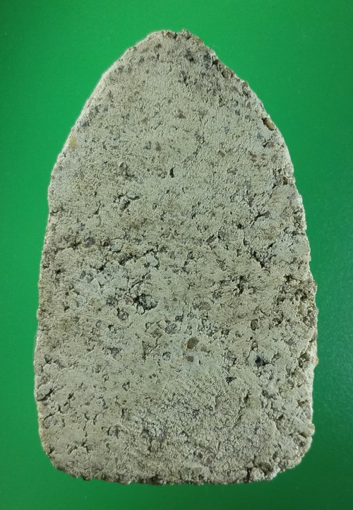 พระขุนแผนกรุวัดสูง อยุธยา พระหายาก จนแทบจะเป็นตำนาน ต้นตำรับปูนเปลือกหอย