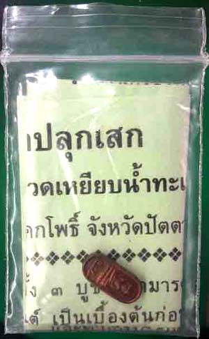 ปรกใบมะขาม ลป.ทวด อาจารย์นอง วัดทรายขาว ปัตตานี พศ.2537