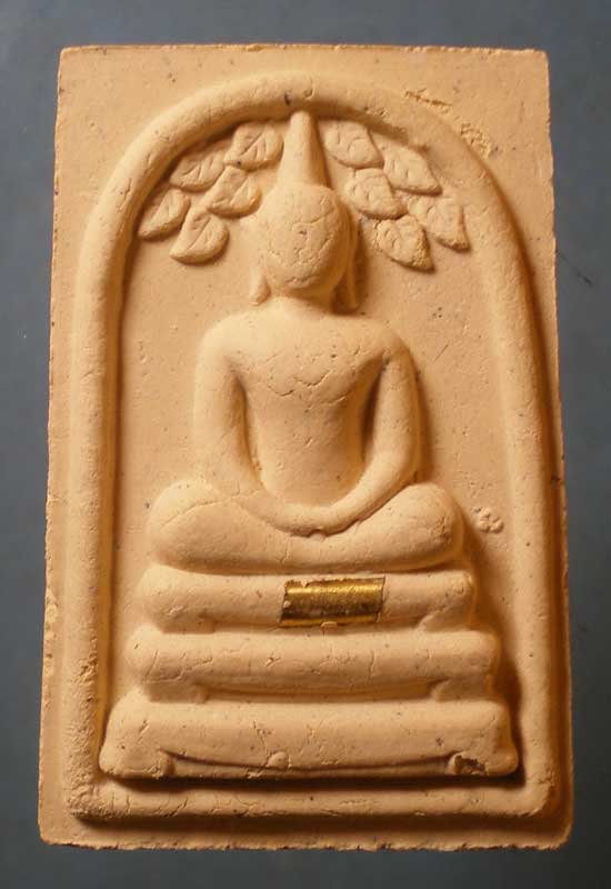 ปรกโพธิ์ ปี54 หลวงปู่นาม วัดน้อยชมภู