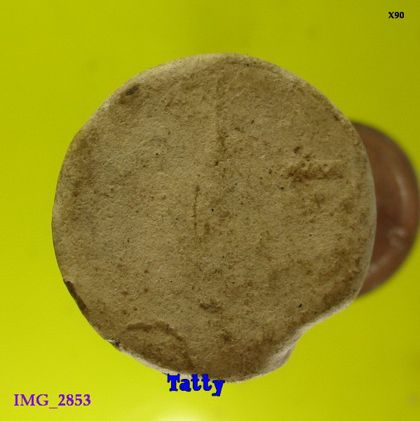 พระผงรูปเหมือนหลวงปู่อนันต์ วัดดอนมะเกลือ