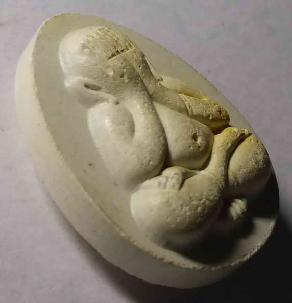 40 บาท พระปิดตาเนื้อผง วัดพยัคฆาราม