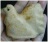 *ไก่หิน*