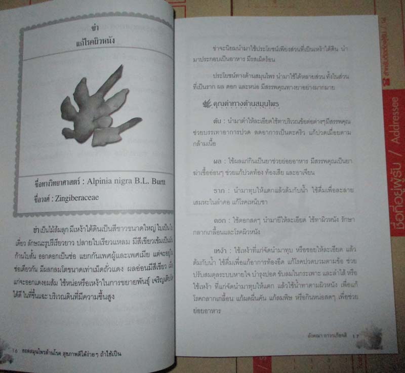 หนังสือ ยอดสมุนไพรต้านโรค