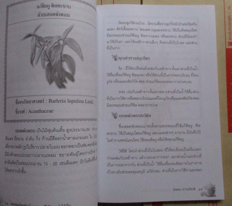 หนังสือ ยอดสมุนไพรต้านโรค