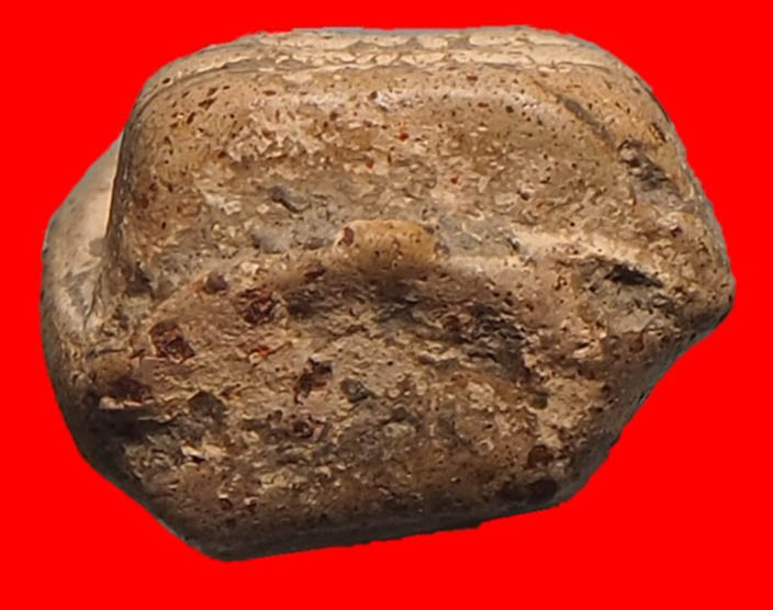 พระคงลำพูน องค์ล่ำหนา ฟอร์มตรง โพธิ์เด้งคราบกรุเดิม พระล่ำหนาโพธิ์เด้ง เม็ดบัวเรียงเม็ดสวยงาม