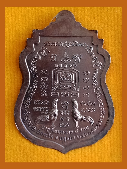 เคาะเดียว เหรียญอายุวัฒนมงคล หลวงพ่อรวย วัดตะโก ปี ๖๐ (3)