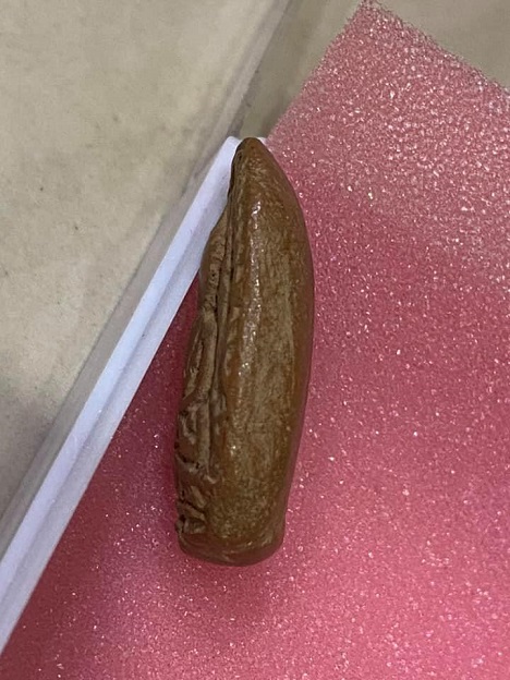 พระกรุจุฬามณี พิมพ์ซุ้มข้างขีด สภาพสวยมาก