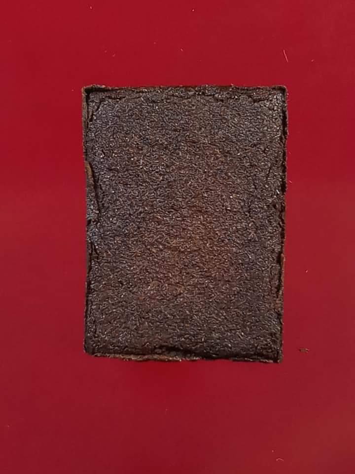 พระปิดตามหาลาภ หลวงพ่อแก้ว วัดนางสาว เนื้อผงยาวาสนาจินดามณี 