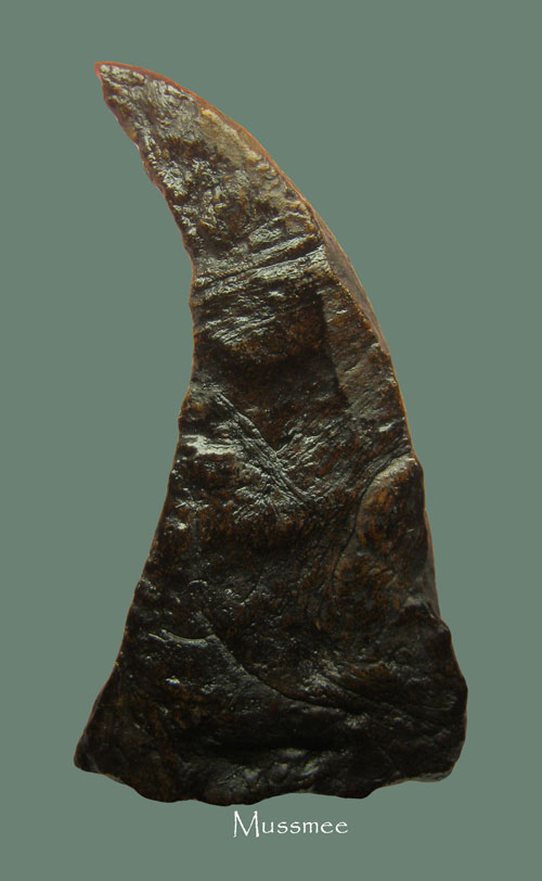 พระผงว่านจำปาสัก (เกศเอียง) ของดีที่คนยุคเก่าเชื่อถือในพุทธคุณครับ ### เคาะเดียว ###