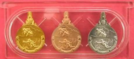 เหรียญพระมหาชนก พิมพ์เล็ก ชุดทองคำ นาค เงิน พร้อมหนังสือ