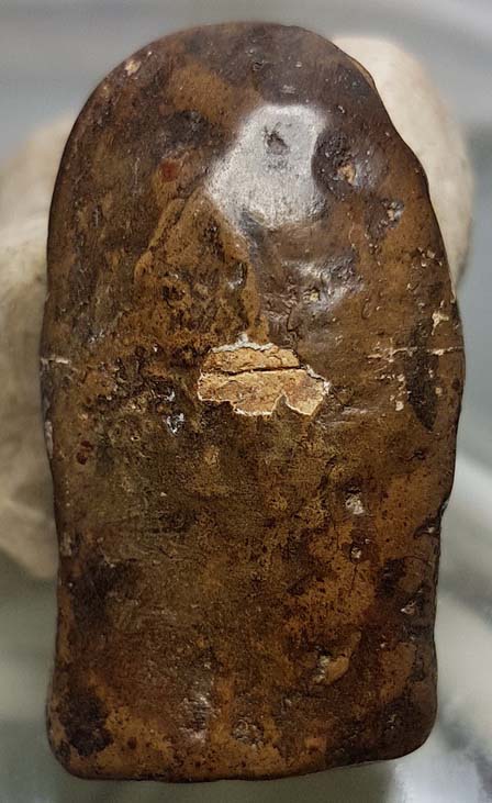 พระคงกรุเก่าองค์ใหญ่ โพธิ์เด้ง สภาพหักซ่อม เคลือบผิวพร้อมบัตรรับรองครับท่าน