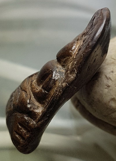 พระคงกรุเก่าองค์ใหญ่ โพธิ์เด้ง สภาพหักซ่อม เคลือบผิวพร้อมบัตรรับรองครับท่าน