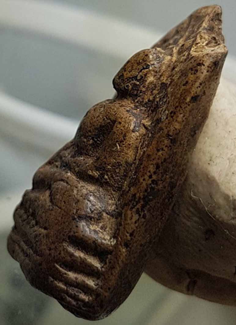 พระคงลำพูนกรุเก่า เขียวคราบเหลือง หายากครับ โพธิ์เด้ง พระล่ำหนา บิ่นเดิมจากกรุมุมบนพระครับท่าน