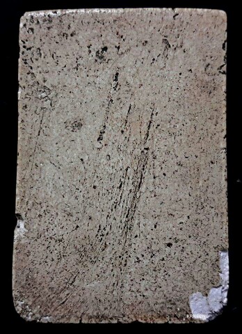 พระสมเด็จ หลวงปู่นาค วัดระฆังฯ