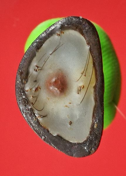 เคาะแรกแดง รูปเหมือนหลวงปู่คำพันธ์ วัดธาตุมหาชัย ปี 2536 รุ่นปฐวีธาตุ 1