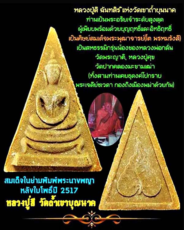 พระก้นย่าม พิมพ์พระพุทธหลังใบโพธิ์ หลวงปู่สี พิมพ์เล็ก เนื้อผงน้ำมัน  ........เคาะเดียวแดง        