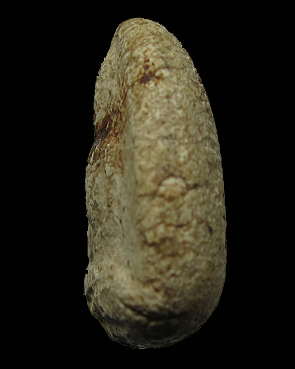 พระกรุวัดพลับ (วัดราชสิทธาราม) บางกอกน้อย กรุงเทพฯ พิมพ์ตุ๊กตาเล็ก