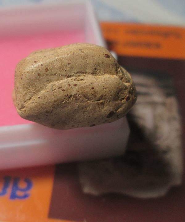 พระคงลำพูน กรุใหม่ สภาพตามรูปพร้อมบัตรรับรองพระแท้ครับ