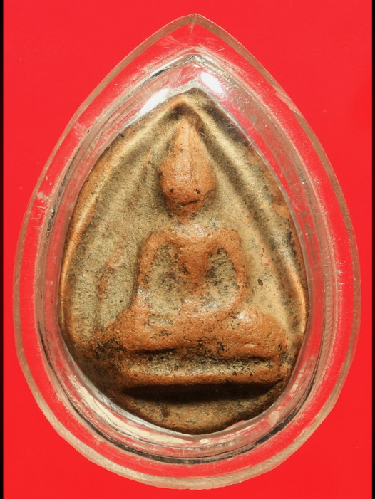 นางกำแพงลูกแป้งเดี่ยว