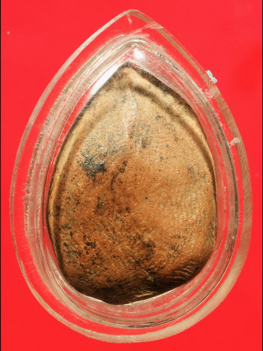 นางกำแพงลูกแป้งเดี่ยว