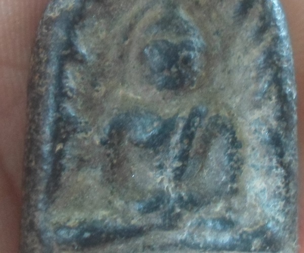  ซุ้มกอเนื้อดำ วังมะสะ อ.พรหมพิราม จ.พิษณุโลก