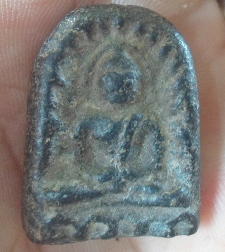  ซุ้มกอเนื้อดำ วังมะสะ อ.พรหมพิราม จ.พิษณุโลก