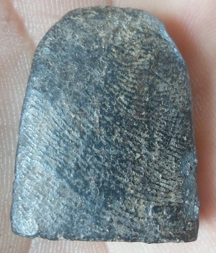  ซุ้มกอเนื้อดำ วังมะสะ อ.พรหมพิราม จ.พิษณุโลก